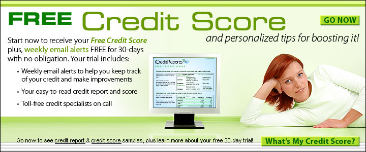 Govt Credit Report